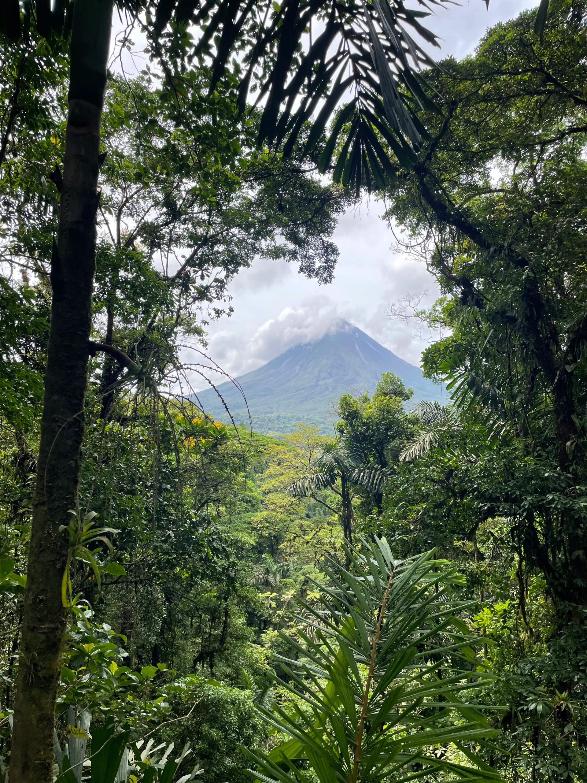 Arenal volcano