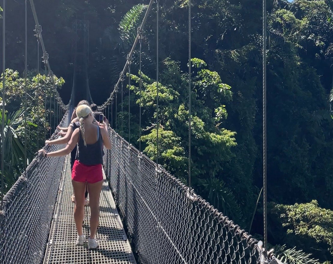 Mistico hanging bridges and forest private tour with transport.