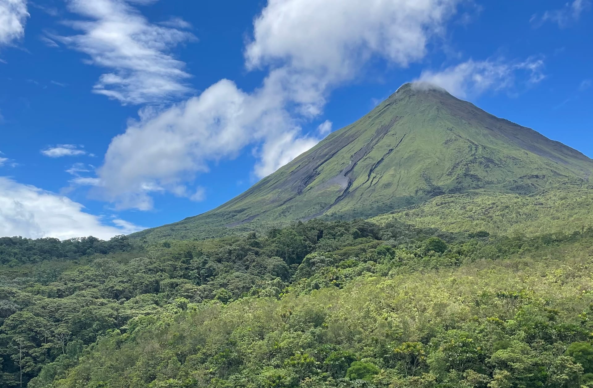 Arenal volcano, its 1968 lavas and forest walk private tour with transport.